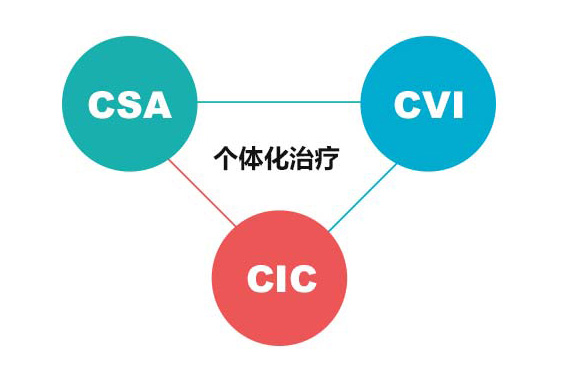 旨在延長癌症患者生存期的治療:“3C+P”模式